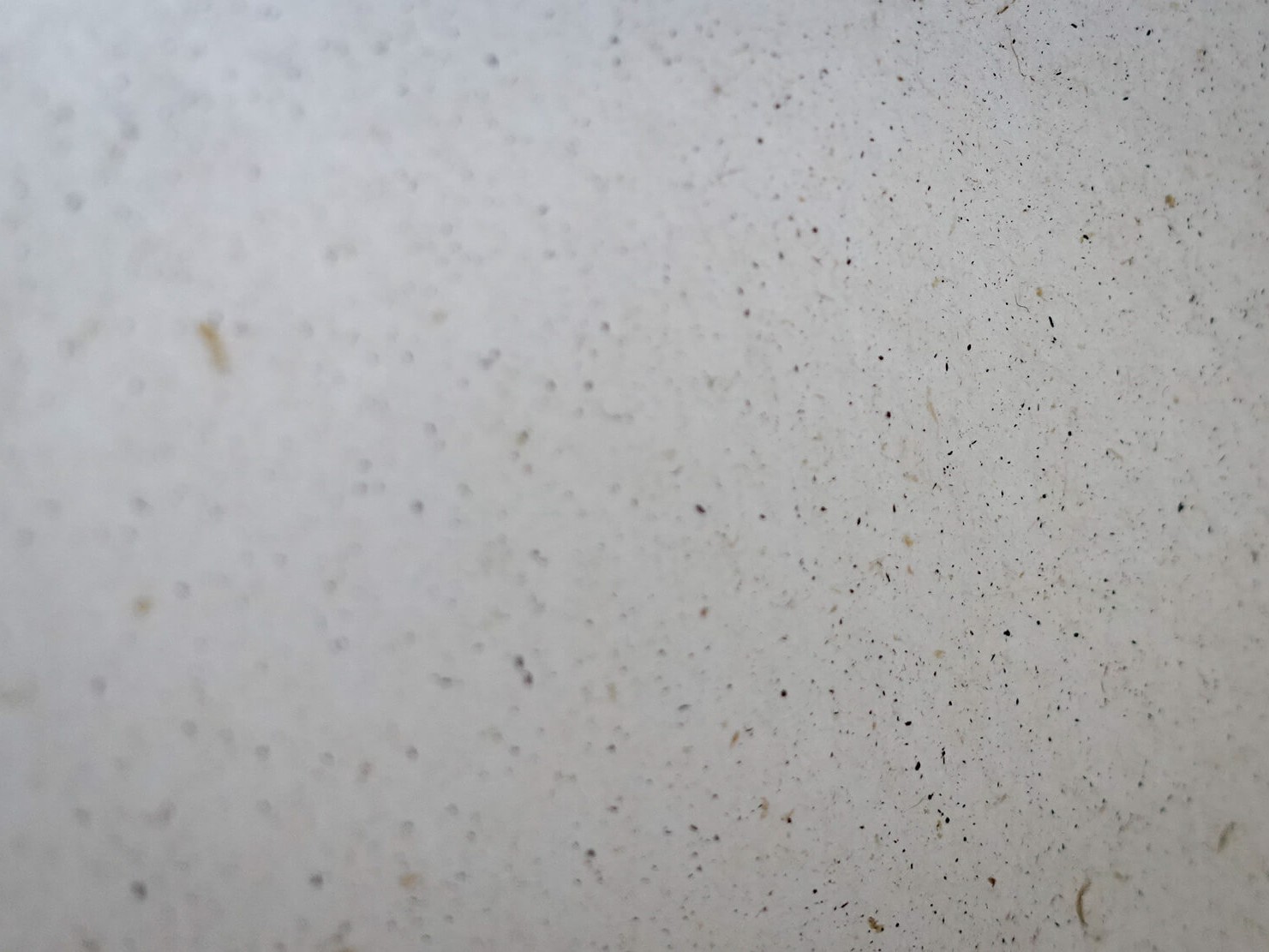 一朵雲飄浮在紙張裡｜新活水Fountain